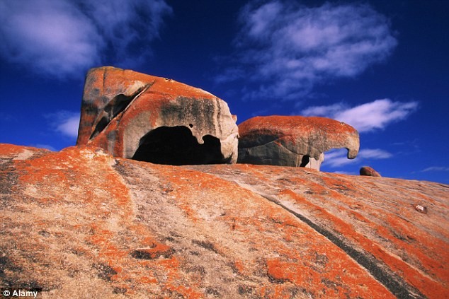 Đảo[-]Chuột[-]Túi[-][-]ở[-]Australia
